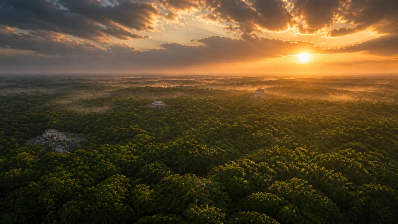 Vista aérea de la selva de Yucatán al amanecer